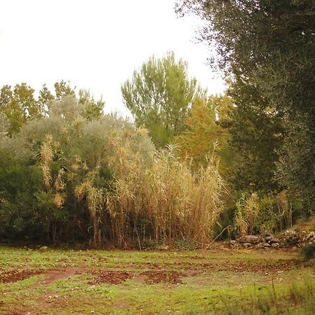 Il Giardino Di Viola Panzió Kellie Messapica Kültér fotó
