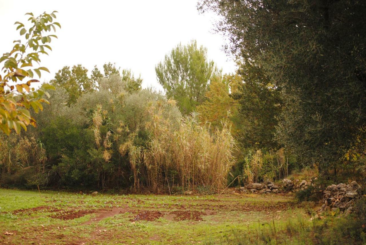 Il Giardino Di Viola Panzió Kellie Messapica Kültér fotó