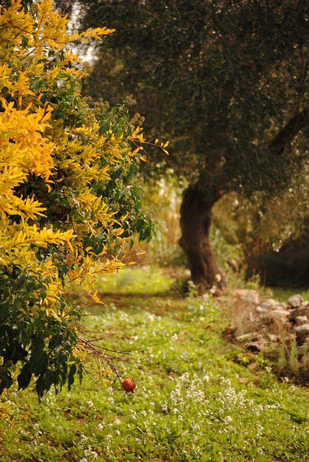 Il Giardino Di Viola Panzió Kellie Messapica Kültér fotó