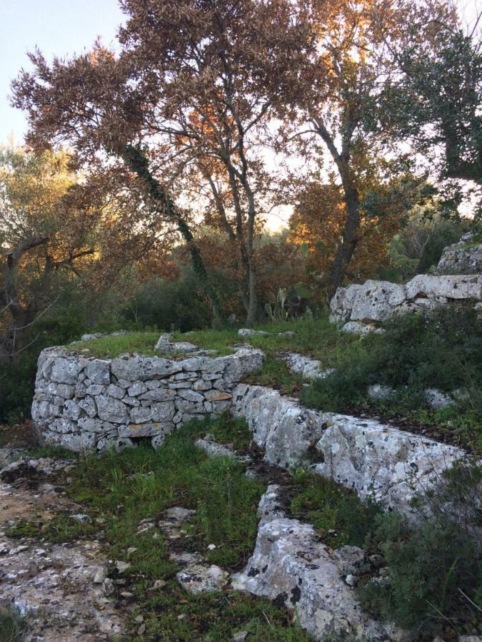 Il Giardino Di Viola Panzió Kellie Messapica Kültér fotó