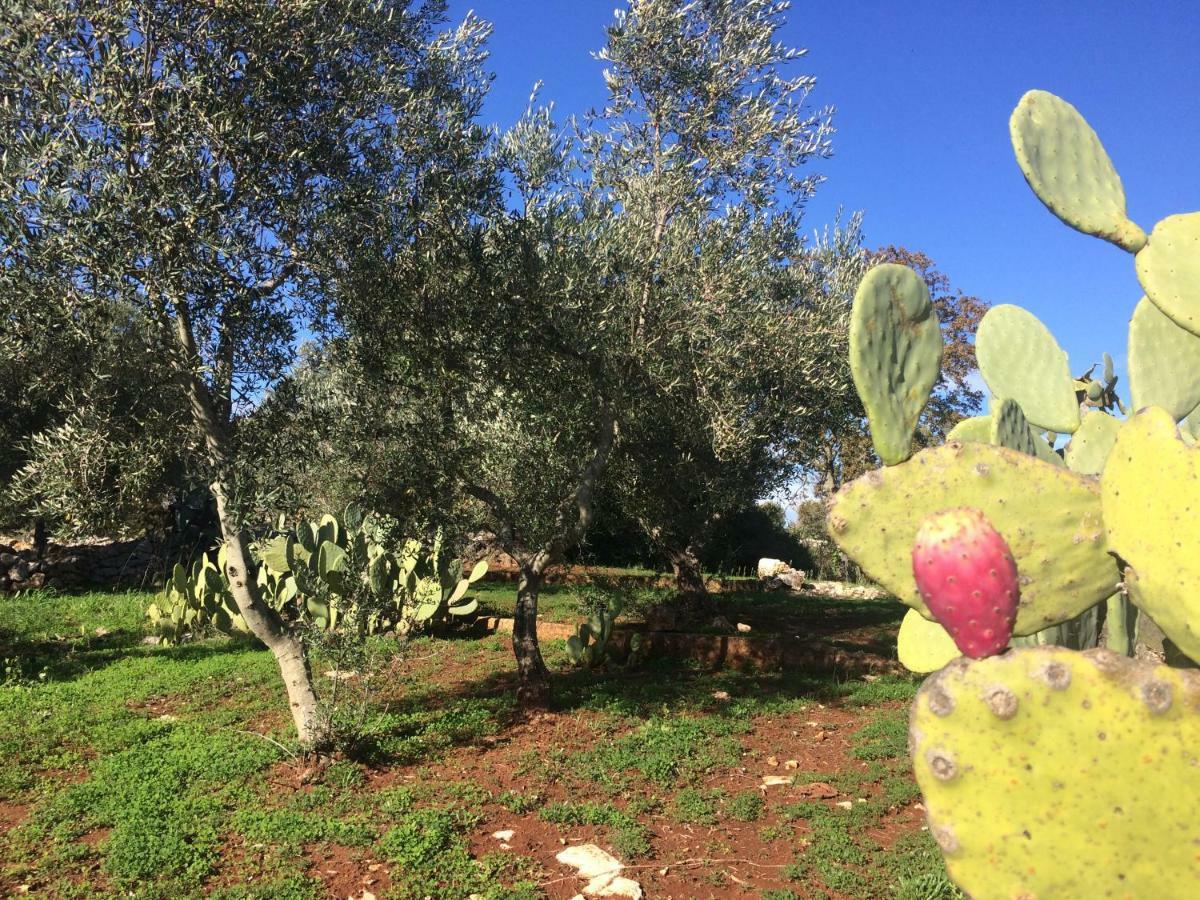 Il Giardino Di Viola Panzió Kellie Messapica Kültér fotó