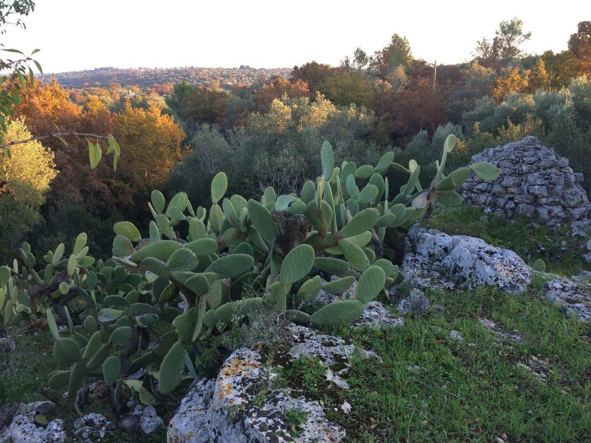 Il Giardino Di Viola Panzió Kellie Messapica Kültér fotó